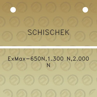 schischek-exmax-650n1300-n2000-n