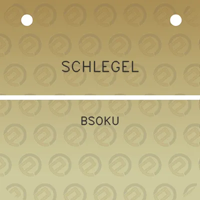 schlegel-bsoku