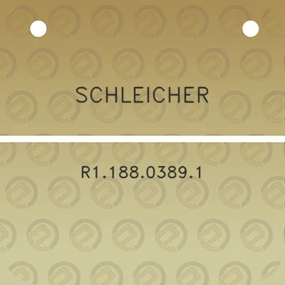 schleicher-r118803891