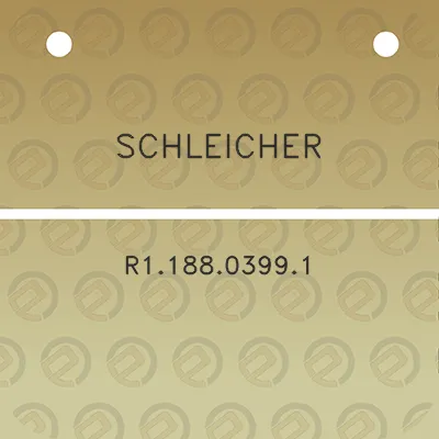 schleicher-r118803991