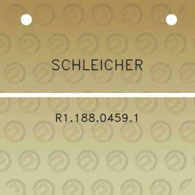 schleicher-r118804591