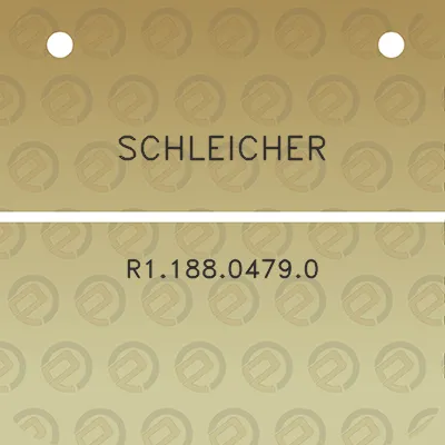 schleicher-r118804790