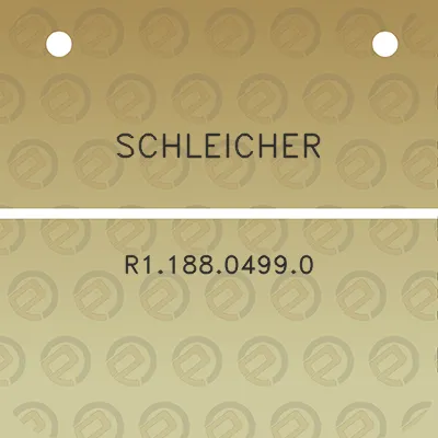 schleicher-r118804990