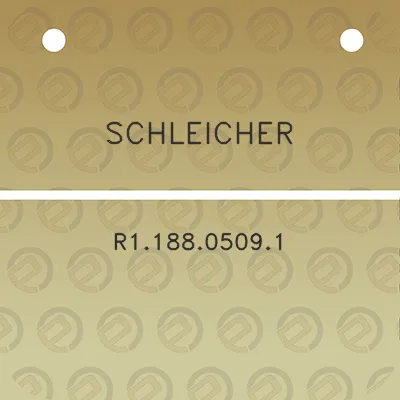 schleicher-r118805091