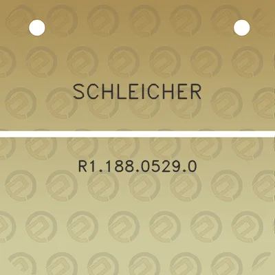 schleicher-r118805290