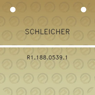 schleicher-r118805391