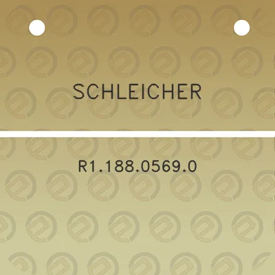 schleicher-r118805690