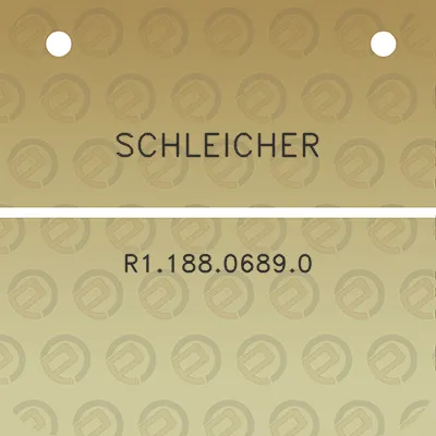 schleicher-r118806890