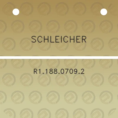 schleicher-r118807092