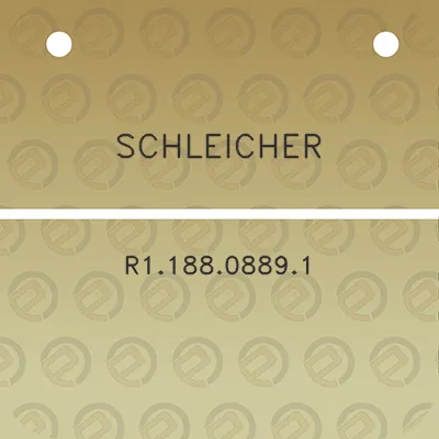 schleicher-r118808891