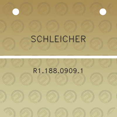 schleicher-r118809091