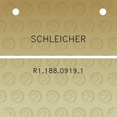 schleicher-r118809191