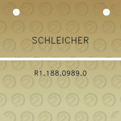 schleicher-r118809890