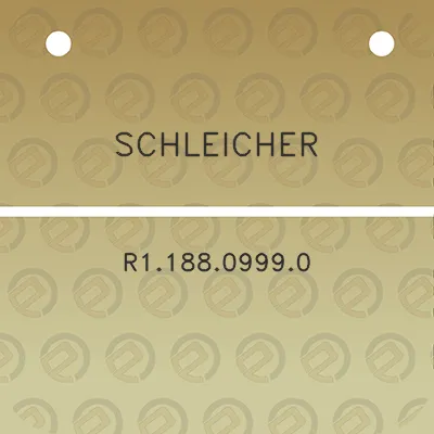 schleicher-r118809990