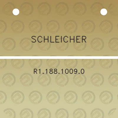 schleicher-r118810090