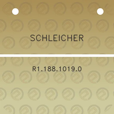 schleicher-r118810190