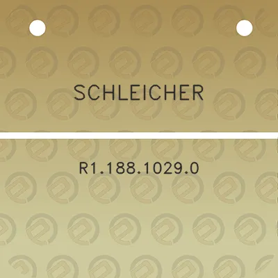 schleicher-r118810290