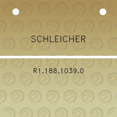 schleicher-r118810390