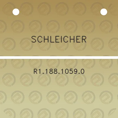 schleicher-r118810590