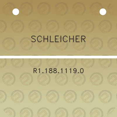 schleicher-r118811190