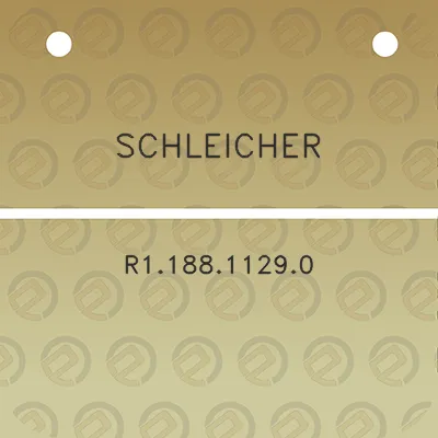 schleicher-r118811290