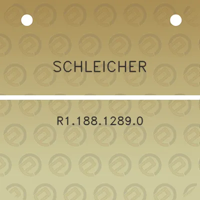 schleicher-r118812890