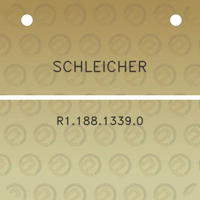 schleicher-r118813390