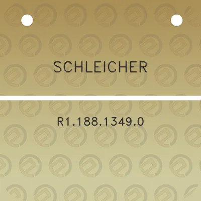 schleicher-r118813490