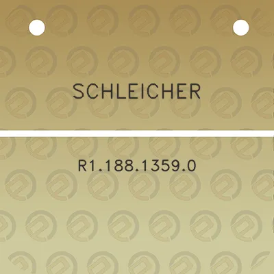 schleicher-r118813590