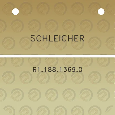 schleicher-r118813690