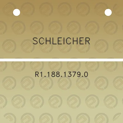 schleicher-r118813790