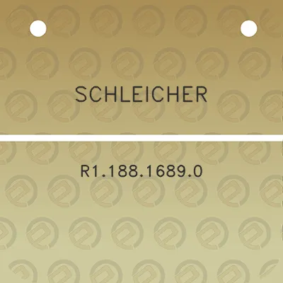 schleicher-r118816890