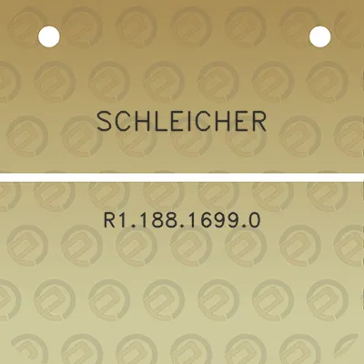 schleicher-r118816990