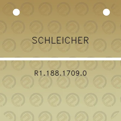 schleicher-r118817090