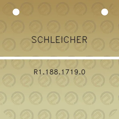 schleicher-r118817190