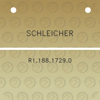 schleicher-r118817290