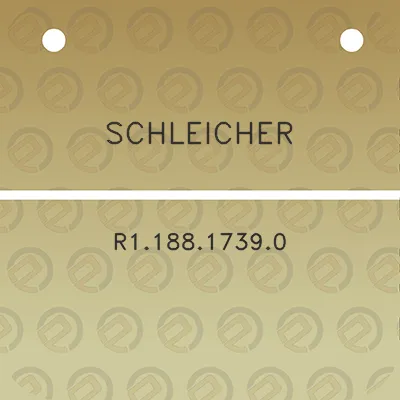 schleicher-r118817390