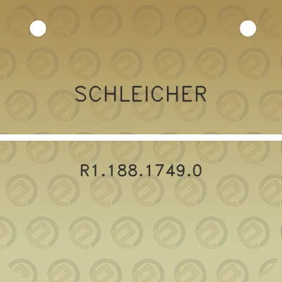 schleicher-r118817490