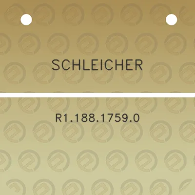 schleicher-r118817590