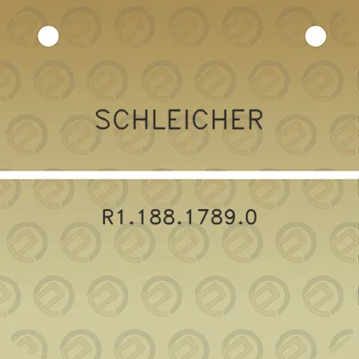 schleicher-r118817890