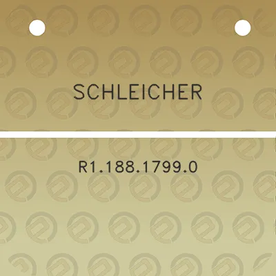 schleicher-r118817990