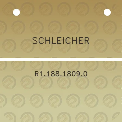 schleicher-r118818090