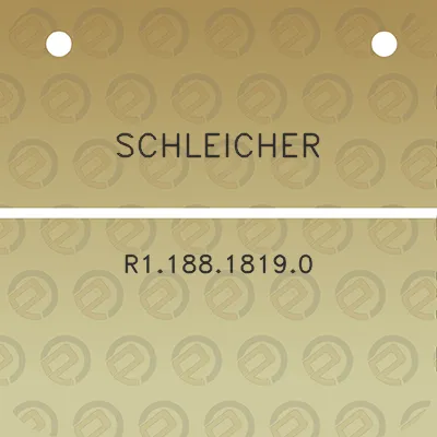 schleicher-r118818190