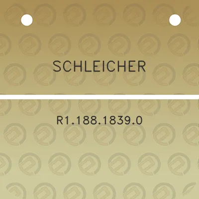 schleicher-r118818390