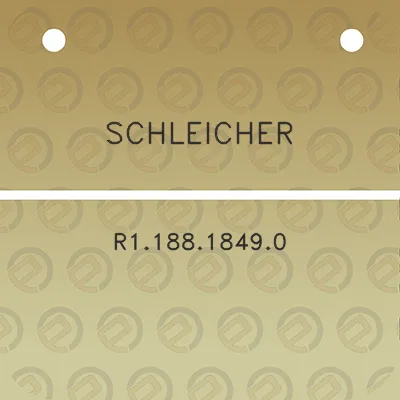 schleicher-r118818490