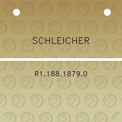 schleicher-r118818790