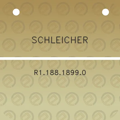 schleicher-r118818990