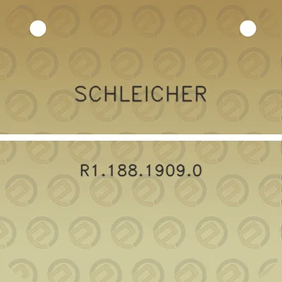 schleicher-r118819090