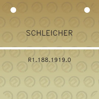 schleicher-r118819190