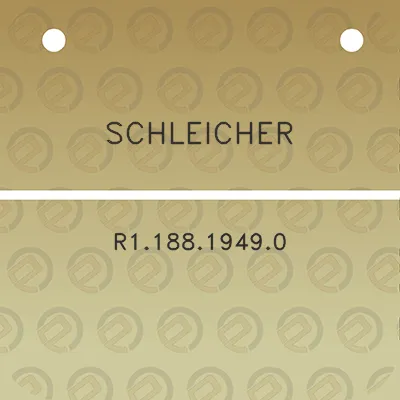 schleicher-r118819490